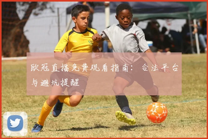 欧冠直播免费观看指南：合法平台与避坑提醒