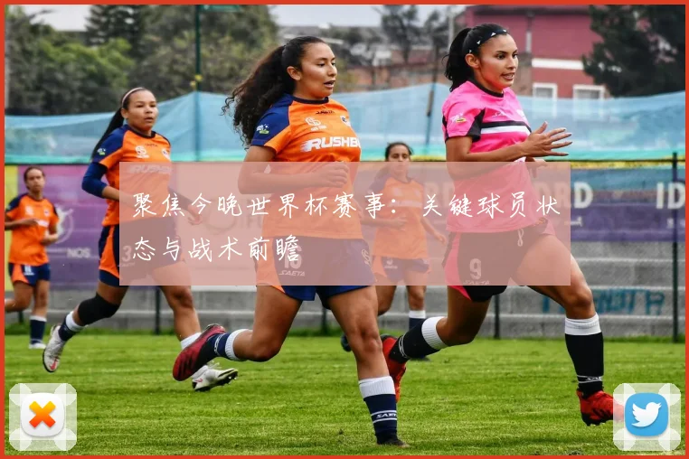 聚焦今晚世界杯赛事：关键球员状态与战术前瞻