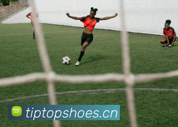 kaiyun中国官方网发展历程